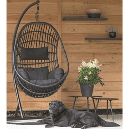 Hangstoel Robusto  - 1